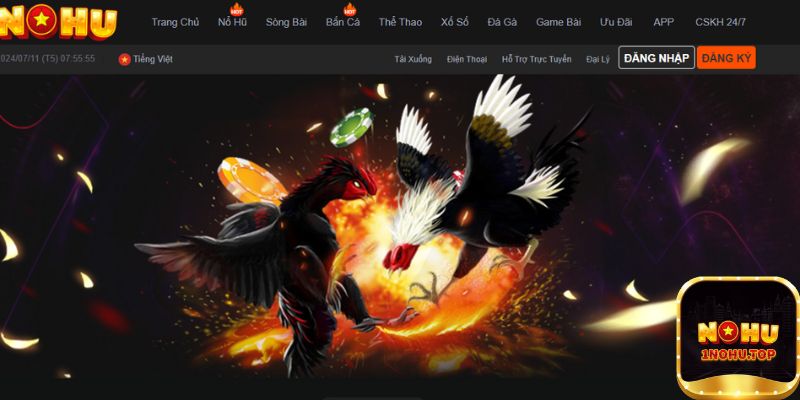 Tìm hiểu về sảnh game đá gà Nohu là gì?