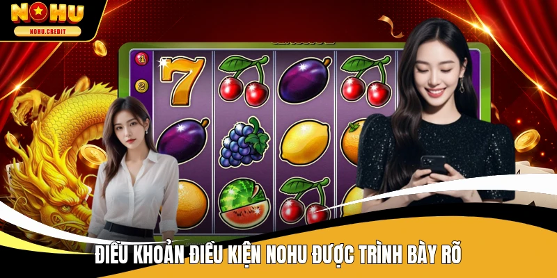 Điều khoản điều kiện NOHU được trình bày rõ